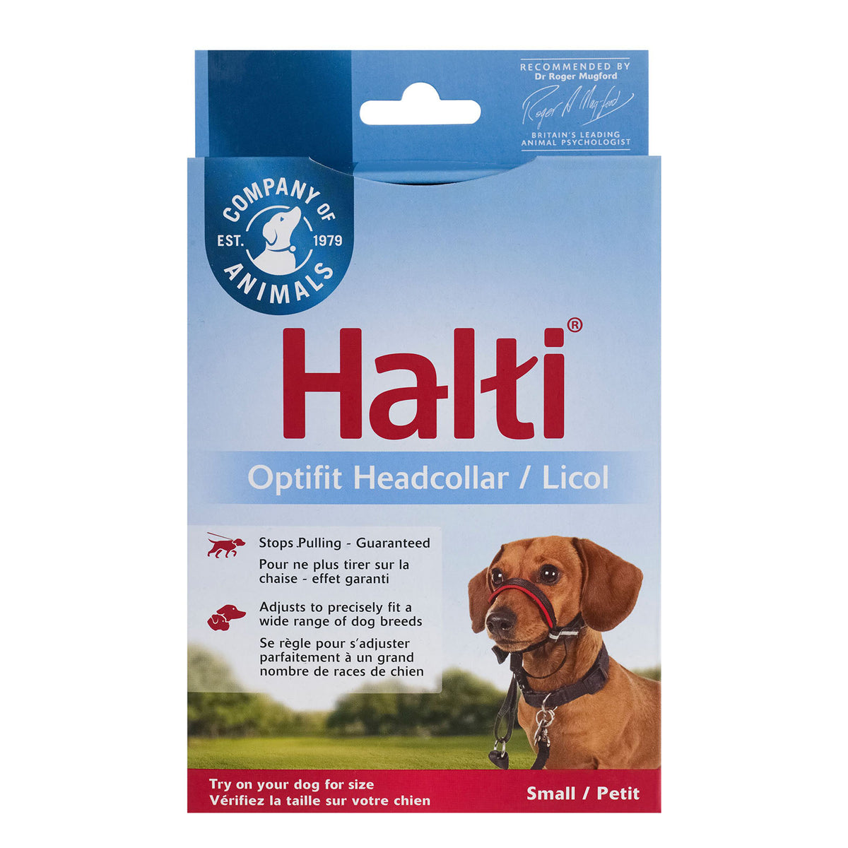 Halti for hotsell french bulldog