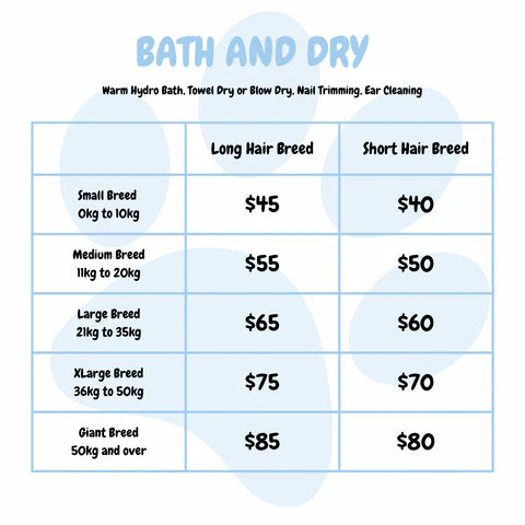 Bath and Dry for Dogs