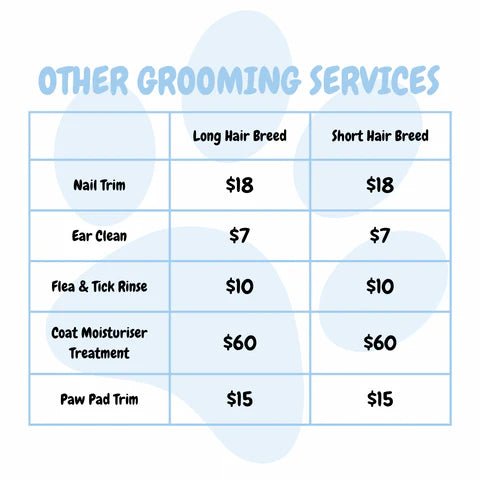 Grooming Services Extras for Dogs