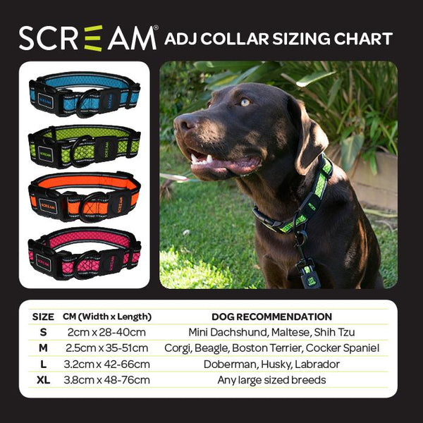 Scream Reflective Adjustable Collar